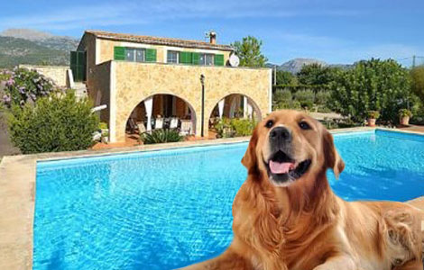 Finca-Urlaub mit Hund auf Mallorca